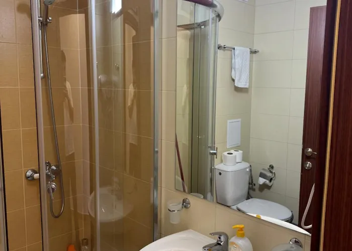 公寓 Relax&ski 班斯科